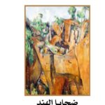 روكامبول 8- ضحايا الهند