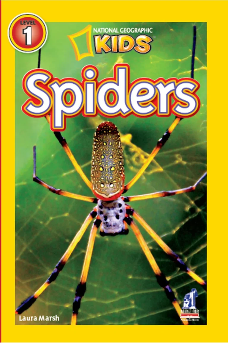 غلاف National kids - Spiders — نهضة مصر